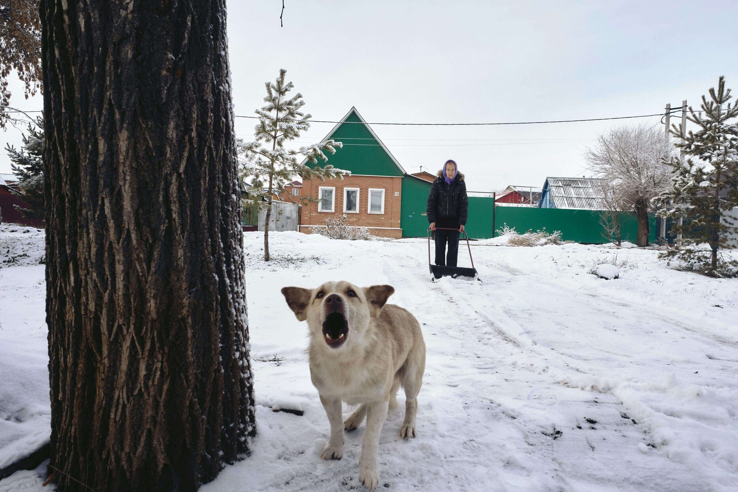 What Therapy Is Available for Dog Bite Victims?