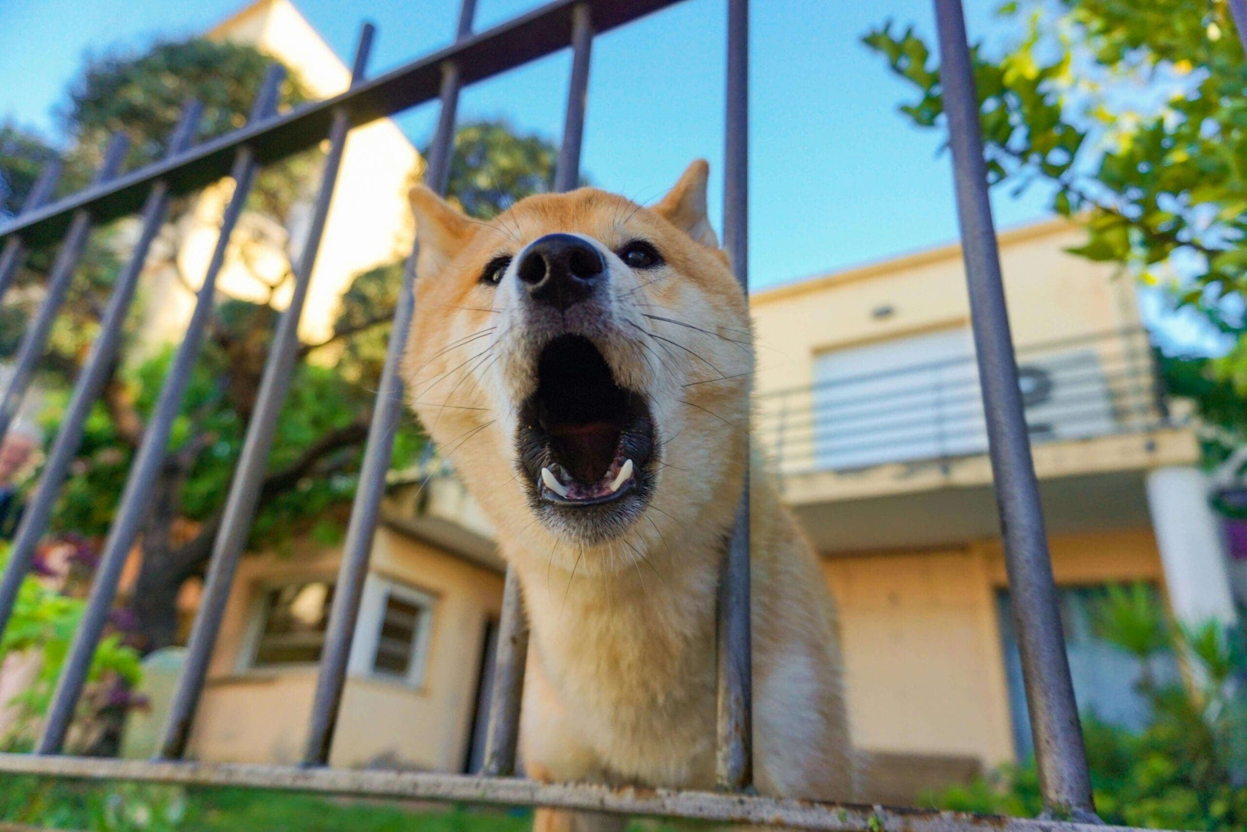 Does Homeowner’s Insurance Cover Dog Bites in Nevada?